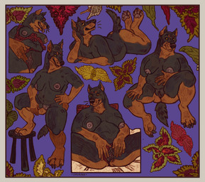 anthro belly big_belly big_breasts border breasts female genitals masturbation overweight paws pose pussy_peek solo vulva yellow_border jagal jay_(deotasdevil) beauceron canid canine canis domestic_dog herding_dog mammal pastoral_dog absurd_res hi_res huge_filesize pinup