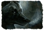 armstrong black_body black_fur breath fur male solo hibbary canid canine canis mammal wolf bust_portrait portrait