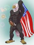 5_fingers abs american_flag anthro armpit_hair athletic balls beak biceps biped black_balls black_body black_feathers body_hair brown_body brown_feathers claws clothed clothing erection feathered_wings feathers feet fingers firecracker fireworks flag front_view genitals glans holding_penis holidays humanoid_genitalia humanoid_penis male muscular muscular_anthro muscular_male nipples nude pecs penis pink_glans pink_penis pubes simple_background smile solo standing talons toe_claws toes topless united_states_of_america vein white_body white_feathers wings yellow_sclera badcoyote third-party_edit 4th_of_july american_eagle accipitrid accipitriform avian bald_eagle bird eagle sea_eagle 2016 hi_res