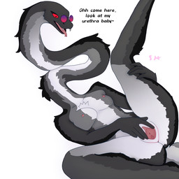 anthro breasts eyewear fangs female forked_tongue fur genitals glasses long_neck raised_leg solo spread_vulva spreading teeth text tongue urethra vulva wearing_glasses copyrelevant9093 shengji_(sealboy) furred_scalie furred_snake reptile scalie snake 1:1 english_text hi_res