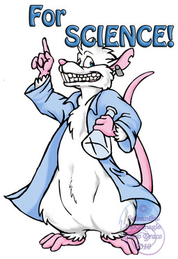 anthro clothing coat ear_piercing ear_tag erlenmeyer_flask fur gesture grin hand_gesture lab_coat laboratory_equipment laboratory_glassware male piercing raised_finger raised_index_finger science scientific_instrument simple_background smile solo tail text topwear white_background white_body white_fur curiodraco mammal murid murine rat rodent 2010 distracting_watermark english_text watermark