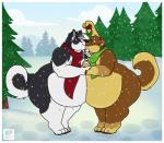 anthro border duo eyewear glasses kissing kissing_bough male mistletoe morbidly_obese obese overweight overweight_anthro overweight_male plant scarf snow white_border kittyfred alaskan_malamute canid canine canis domestic_dog mammal nordic_sled_dog spitz wolf hi_res