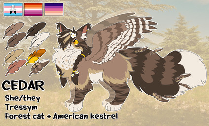 accessory braided_hair brown_body brown_fur brown_markings cheek_tuft color_swatch ear_piercing ear_tuft facial_markings facial_tuft feather_accessory feathers female feral flower flower_in_hair fluffy fluffy_tail forest forest_background fur glistening glistening_eyes gloves_(marking) hair hair_accessory hair_over_eye head_markings jewelry leg_markings lesbian_pride_colors lgbt_pride markings multicolored_body multicolored_fur piercing plant pride_colors pronouns socks_(marking) solo spots spotted_body spotted_fur standing striped_body striped_legs striped_markings striped_tail stripes tail tail_markings text transgender_pride_colors tree tuft tufted_fur two_spirit_pride_colors white_body white_fur white_markings wings yellow_eyes wastepaw cedar_(wastepaw) domestic_cat felid feline felis hybrid mammal norwegian_forest_cat tressym 2025 absurd_res digital_drawing_(artwork) digital_media_(artwork) english_text hi_res model_sheet
