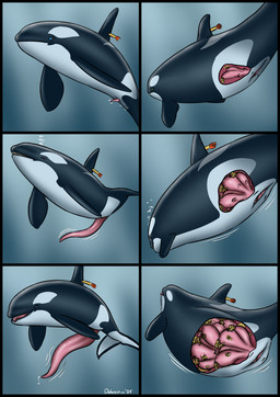 animal_genitalia animal_penis animal_vulva anus becoming_erect big_penis black_body blue_eyes bubble cetacean_genitalia cetacean_penis cetacean_vulva dart duo erection female female_feral feral genitals growth huge_penis hyper hyper_genitalia hyper_penis hyper_womb internal male male_feral mammary_slits multi_uterus mutation penis tapering_penis underwater uterus uterus_growth vulva water white_body year dolorcin aquatic cetacean dolphin mammal oceanic_dolphin orca toothed_whale 2025 comic dated hi_res