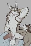anthro balls bedding big_balls big_penis blanket bracelet ear_piercing erection foreskin fur genitals grey_body grey_fur hand_behind_head huge_balls huge_penis humanoid_genitalia humanoid_penis jewelry male nude penis piercing saggy_balls solo thrisker lifewonders tokyo_afterschool_summoners seth_(tas) canid canine canis jackal mammal absurd_res hi_res