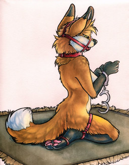 4_toes 5_fingers anthro ball_gag bdsm biped bondage bound breasts claws collar cuff_(restraint) digitigrade dipstick_ears dipstick_tail ear_markings feet female fingers frogtied fur gag gagged gloves_(marking) halter handcuffs harness harness_ball_gag harness_gag kneeling leg_markings legs_tied looking_down markings metal_cuffs multicolored_body multicolored_ears multicolored_fur multicolored_tail muzzle_(object) muzzled nude orange_body orange_fur pawpads pink_pawpads red_collar restraints rug self-bondage shackles side_boob simple_background socks_(marking) solo submissive submissive_female tail tail_markings toe_claws toes white_body white_fur ruaidri canid canine fox mammal 2013