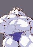 anthro belly black_nose bulge clothing kemono male moobs navel nipples overweight overweight_male simple_background solo underwear white_body heylaw21 lifewonders live_a_hero borealis_(live_a_hero) bear mammal polar_bear ursine 2023 absurd_res hi_res