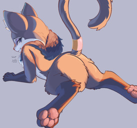 4_toes accessory blue_body blue_fur butt chest_tuft claws countershade_face countershade_torso countershading eyeshadow feet female feral fur furgonomics inner_ear_fluff leg_markings light looking_back makeup markings mole_(marking) neck_tuft pawpads paws presenting presenting_hindquarters raised_tail simple_background socks_(marking) solo sploot tail tail_accessory text toe_claws toes tuft whiskers conditional_dnp tohupo mirabella_(tohupo) domestic_cat felid feline felis mammal 2022 absurd_res artist_name dated digital_media_(artwork) hi_res lighting shaded signature