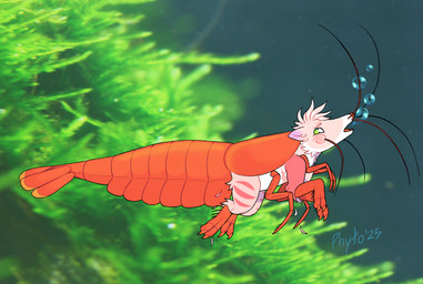ambiguous_gender anthro feral male micro transformation phytophile aquatic arthropod crustacean felid mammal shrimp hi_res