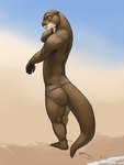 after_transformation anthro beach blush brown_body brown_fur butt clothed clothing footprint fur hand_on_neck jockstrap jockstrap_only male muscle_loss pawpads sand sea shy solo topless underwear underwear_only walking water whiskers eclipticafusion mammal mustelid otter 3:4 hi_res