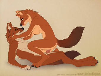 anthro anthro_on_anthro anthro_penetrated anthro_penetrating anthro_penetrating_anthro areola biped breasts butt claws countershade_torso countershading duo erection eye_contact feet female female_penetrated fingers fur genitals holding_partner's_head inner_ear_fluff looking_at_another male male/female male_penetrating male_penetrating_female neck_tuft nipples nude nude_anthro nude_female nude_male orange_eyes penetration penis sex smile tail text toes tuft shinigamigirl canid canine dhole mammal 2025 4:3 digital_drawing_(artwork) digital_media_(artwork) english_text url