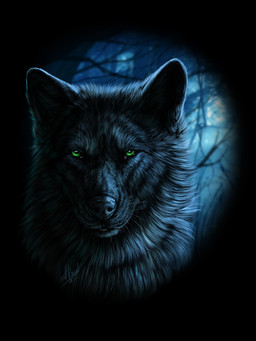 ambiguous_gender black_body black_fur black_nose feral fur green_eyes solo whiskers wolfroad canid canine canis mammal wolf 2015 3:4 digital_media_(artwork) headshot_portrait hi_res portrait