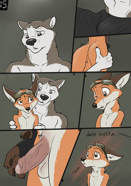 anthro brown_eyes duo ears_back examination excited eyewear eyewear_on_head genitals goggles goggles_on_head humanoid_genitalia looking_back looking_down male male/male pivoted_ears scar text touching_butt wolfyalex96 canid canine canis domestic_dog fox husky mammal nordic_sled_dog spitz hi_res spanish_text