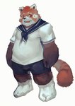 anthro belly biped bottomwear brown_body brown_fur clothing fur humanoid_hands male orange_body orange_fur overweight overweight_male shirt shorts simple_background solo topwear white_background ramenbeny ailurid mammal red_panda 2015