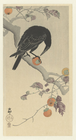 ambiguous_feral ambiguous_gender avian_feet beak biped bipedal_feral black_body black_feathers branch cjk_character feathered_wings feathers feral food fruit fruit_tree holding_food holding_fruit holding_object leaf on_branch persimmon plant simple_background solo standing tail tail_feathers tree wings ohara_koson public_domain avian bird corvid corvus_(genus) crow oscine passerine 20th_century absurd_res ancient_art hi_res traditional_media_(artwork)