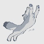 4_toes ambiguous_gender countershade_fur countershading feet feral fur grey_body grey_fur jumping quadruped simple_background solo stretching toes white_background white_body white_countershading white_fur rinrinwolf canid canine canis mammal wolf 1:1 2024 absurd_res hi_res