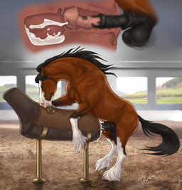 animal_genitalia animal_penis balls black_balls black_mane black_penis black_tail breeding_mount brown_body brown_eyes brown_fur equine_genitalia equine_penis erection feral fur genitals male male_feral mane masturbation medial_ring open_mouth penile penile_masturbation penis pink_penis quadruped side_view solo tail teeth white_body white_fur rufciu equid equine horse mammal hi_res