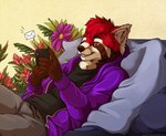 anthro bed black_clothing black_shirt black_topwear bottomwear cellphone clothing electronics envelope flower fur furniture hoodie male pants phone plant purple_clothing purple_hoodie purple_topwear shirt smartphone smile texting topwear kikonine marjani ailurid mammal red_panda 2022 artist_collaboration digital_media_(artwork)