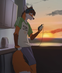 anthro biped brown_body brown_fur brown_hair cellphone clothed clothing dipstick_tail electronics eyes_closed fingerless_(marking) fully_clothed fur hair headgear headphones headset inside kitchen leaning male markings multicolored_tail orange_body orange_fur phone side_view smile solo standing sunset tail tail_markings window koul canid canine fox mammal digital_media_(artwork) hi_res portrait three-quarter_portrait