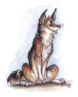 alcohol ambiguous_gender beer beverage drunk feral food simple_background solo substance_intoxication white_background conditional_dnp tani_da_real canid canine canis coyote mammal 2014 4:5