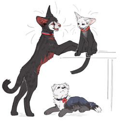 ambiguous_gender black_body black_fur collar feral fur group inner_ear_fluff looking_at_another looking_up lying on_front on_ground open_mouth open_smile paws quadruped red_body red_eyes red_fur sharp_teeth simple_background sitting smile standing tail teeth tongue trio tuft white_background white_body white_fur white_sclera aaasakawa hollow_knight_(franchise) team_cherry grimm_(hollow_knight) hornet_(hollow_knight) the_knight_(hollow_knight) canid canine felid feline mammal 2026 hi_res female_(lore) male_(lore)