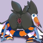 ambiguous_gender animal_genitalia beak butt butt_focus cloaca feral gaping gaping_cloaca genitals half-closed_eyes narrowed_eyes presenting scarf smile solo tongue wings moebious nintendo pokemon avian bird generation_7_pokemon pokemon_(species) trumbeak 1:1 hi_res