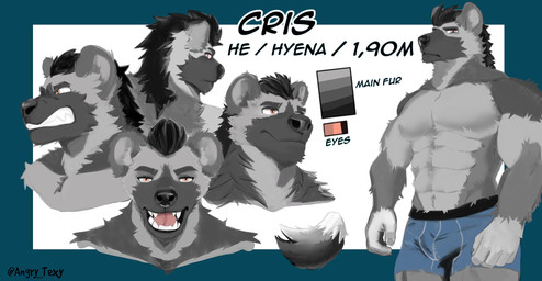 anthro bulge clothing front_view fur male moobs multiple_angles muscular rear_view serious_face side_view solo tail teeth text tongue underwear angry_texy cris hyena mammal english_text hi_res model_sheet