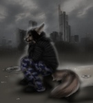 anthro big_ears city cloud female outside overcast raining sky solo tail shikoyote shiko canid canine canis domestic_dog mammal hi_res