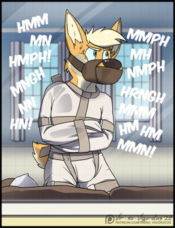anthro asylum bdsm bed bedroom blonde_hair blue_sky bodily_fluids bondage bondage_and_chill bound bulge curtains fur furniture green_eyes hair inside male muzzle_(object) muzzled orange_body orange_fur pillow restraints sky snout solo sound_effects straitjacket submissive submissive_male sweat tan_body tan_fur website window vir-no-vigoratus avery_(vir-no-vigoratus) canid canine canis domestic_dog herding_dog mammal pastoral_dog welsh_corgi signature