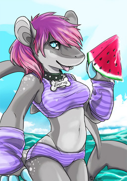 anthro blue_eyes collar female food fruit hair holding_food holding_object melon pink_hair plant solo tail tropical watermelon watermelon_slice reisar_(artist) aquatic fish shark hi_res