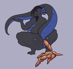 anthro anus big_breasts big_butt black_body black_hair black_scales blue_eyes breasts butt countershading crouching feces female genitals hair holding_tail looking_at_viewer nude pooping pussy rear_view scales solo tail thick_thighs redblissex mythology dragon mythological_creature mythological_scalie scalie absurd_res hi_res