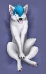 blue_eyes blue_hair feet female feral fur hair hindpaw looking_at_viewer lying open_mouth pawpads paws piercing pink_pawpads pose smile solo tail tail_between_legs tongue tongue_out iceshadow13 paper-wings canid canine canis domestic_dog mammal hi_res pinup