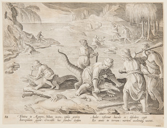 club_(weapon) death egyptian feral forced group hunting imminent_death killing male male_feral melee_weapon nude_male outside partially_submerged plant tail text tree water weapon jan_van_der_straet_(stradanus) crocodile crocodilian human mammal reptile scalie 16th_century absurd_res ancient_art hi_res latin_text translated