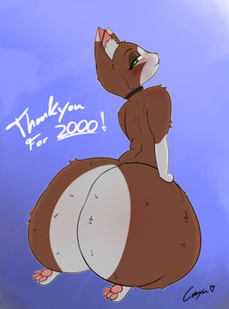 ambiguous_anthro ambiguous_gender anthro bedroom_eyes big_butt blep bridge_piercing brown_body brown_fur butt collar collar_only ear_piercing facial_piercing feet follower_number fur green_eyes hand_on_butt heart_pupils heart_symbol huge_butt inner_ear_fluff kneeling lip_piercing looking_at_viewer looking_back looking_back_at_viewer multicolored_body multicolored_fur narrowed_eyes nose_piercing nude pawpads piercing seductive seiza sitting soles solo text thank_you tongue tongue_out tuft two_tone_body two_tone_fur white_body white_fur cr4vr0 domestic_cat felid feline felis mammal absurd_res colored digital_media_(artwork) english_text hi_res signature