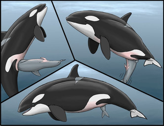 cetacean dolorcin dolphin duo female feral male mammal marine orca penis pussy size_difference tapering_penis unbirthing vore whale
Rating: Explicit
Score: 7
User: chdgs
Date: December 23, 2010 cetacean dolorcin dolphin duo female feral male mammal marine orca penis pussy size_difference tapering_penis unbirthing vore whale
Rating: Explicit
Score: 7
User: chdgs
Date: December 23, 2010