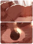 anthro black_nose butt cuddling duo fur hair kissing_pov light light_beam male male/male nude red_eyes sunbeam sunlight tail whiskers sadness_hao guardians_of_the_galaxy marvel rocket_raccoon human humanoid mammal procyonid raccoon 3:4 absurd_res comic hi_res