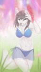 anthro bikini biped blue_bottomwear blue_clothing blue_topwear bottomwear breasts clothing female navel skirt smile solo standing swimwear teeth topwear translucent translucent_bottomwear translucent_clothing two-piece_swimsuit dafka inora_weissklaue canid canine canis mammal wolf hi_res