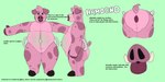 ambiguous_gender anthro anus hamoond_(havhavoc) handles_on_thighs inflatable living_sex_toy male pool_toy profanity solo text havhavoc animate_inanimate domestic_pig living_inflatable mammal suid suine sus_(pig) 2:1 english_text hi_res model_sheet