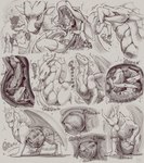 anthro belly_crush bones_in_stomach digestion digestion_noises duo fatal_vore feral feral_pred internal male male/male male_pred male_prey neck_bulge oral_vore swallowing vore lunlunfox mythology canid canine dragon fox mammal mythological_creature mythological_scalie scalie absurd_res hi_res sequence