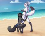 5_fingers anthro assisted_exposure beach bikini black_hair black_nose blue_eyes breasts clothed clothing crouching day detailed_background duo female fingers fur hair outside sand seaside sky standing sun swimwear two-piece_swimsuit water white_body white_fur white_hair kitsunewaffles-chan wyla canid canine canis fox mammal wolf 2019 5:4 digital_media_(artwork)