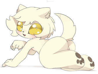 anthro anus butt female fur genitals looking_at_viewer nipples nude pawpads paws presenting presenting_hindquarters presenting_vulva simple_background solo tail vulva white_body white_fur yellow_eyes young young_anthro young_female godforgiveme4 the_forsaken_saintess_and_her_foodie_roadtrip_in_another_world sheela_(the_forsaken_saintess) 2026 hi_res watermark