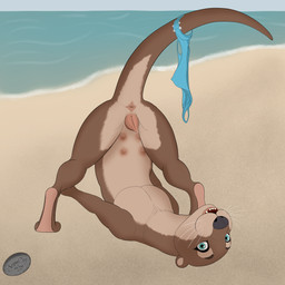 4_nipples anatomically_correct animal_genitalia animal_vulva beach clothing female feral genitals looking_at_viewer multi_nipple nipples panties paws solo suggestive tail tapering_tail underwear despairdog mammal mustelid otter 1:1 absurd_res hi_res
