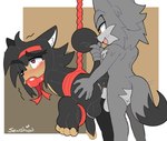 anal ball_gag bdsm bondage bound gag male male/male senshion g_gundam gundam sega sonic_the_hedgehog_(series) domon_kasshu canid canine canis domestic_cat felid feline felis mammal wolf hi_res