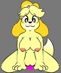 anthro anthro_penetrated bouncing_breasts breasts dildo female female_penetrated grey_background looking_at_viewer masturbation nipples penetration riding_dildo sex_toy simple_background tail tail_motion tailwag vaginal vaginal_masturbation vaginal_penetration unknown_artist animal_crossing nintendo isabelle_(animal_crossing) canid canine canis domestic_dog mammal shih_tzu toy_dog animated short_playtime