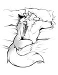 anthro bedding blanket cheek_piercing cuddling duo fluffy fur nude piercing pillow screentone sleeping tail falvie the_fox_(falvie) canid canine canis fox mammal wolf 2021 black_and_white digital_media_(artwork) hi_res monochrome signature sketch