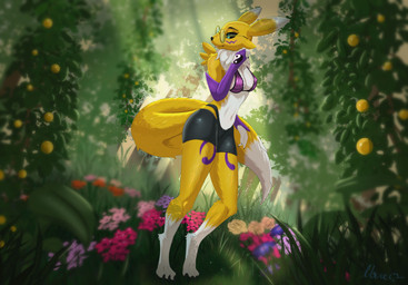 anthro armwear bikini bikini_top bottomwear clothing eyewear female flower garden glasses light light_beam looking_back plant slight_smile solo standing sunbeam sunlight swimwear tight_bottomwear tight_clothing two-piece_swimsuit wearing_glasses nova_bold bandai_namco digimon fan_character canid canine digimon_(species) fox mammal renamon hi_res