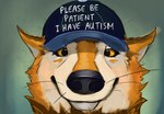 autism baseball_cap clothing hat headgear headwear humor looking_at_viewer smile solo text whiskers yellow_sclera pleaxwolf please_be_patient_i_have_autism canid canine mammal english_text hi_res meme reaction_image