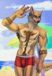 5_fingers abs anthro beach blue_eyes brown_body brown_fur brown_nose clothed clothing day detailed_background fingers fur male nipples outside sand seaside shoreline sky smile solo topless water evlampyshka nick_grant canid canine canis domestic_dog mammal 2019 digital_media_(artwork) hi_res