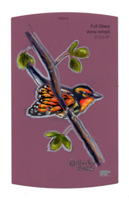 ambiguous_gender black_body black_feathers border branch feathered_wings feathers feral leaf orange_body orange_eyes orange_feathers paint_sample_card perching plant solo text white_body white_border white_feathers wings heather_bruton avian bird oscine passerine warbler 2026 acrylic_painting_(artwork) colored_pencil_(artwork) english_text low_res painting_(artwork) traditional_media_(artwork) traditional_painting_(artwork)