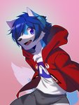 absurd_res blue_body blue_eyes blue_fur blue_hair booboo34 canid canine canis clothing fur hair hi_res hoodie hybrid looking_at_viewer male mammal muscular muscular_male purple_eyes red_clothing red_hoodie red_topwear smile solo tiraruto_kada topwear wolf